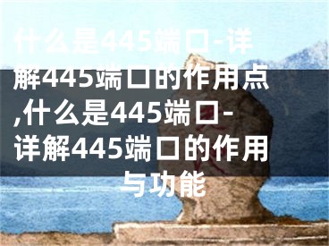 什么是445端口-详解445端口的作用点,什么是445端口-详解445端口的作用与功能