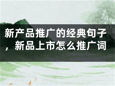 新产品推广的经典句子，新品上市怎么推广词