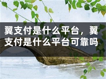 翼支付是什么平台，翼支付是什么平台可靠吗