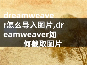 dreamweaver怎么导入图片,dreamweaver如何截取图片 