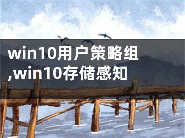 win10用户策略组,win10存储感知