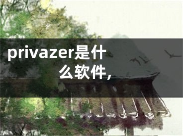 privazer是什么软件,