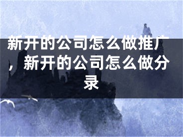 新开的公司怎么做推广，新开的公司怎么做分录