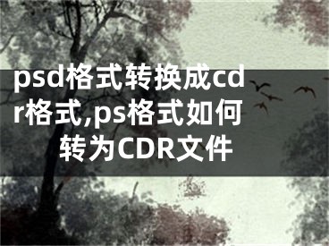 psd格式转换成cdr格式,ps格式如何转为CDR文件