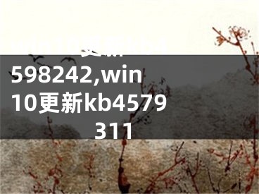 win10更新kb4598242,win10更新kb4579311