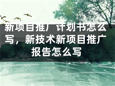 新项目推广计划书怎么写，新技术新项目推广报告怎么写