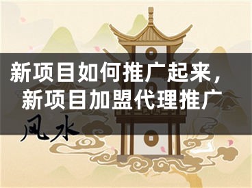 新项目如何推广起来，新项目加盟代理推广