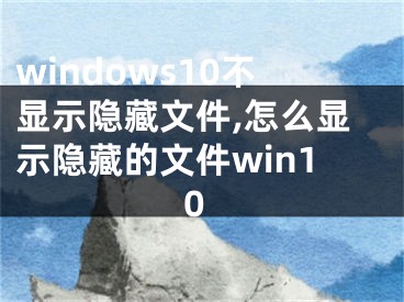 windows10不显示隐藏文件,怎么显示隐藏的文件win10