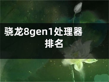 骁龙8gen1处理器排名