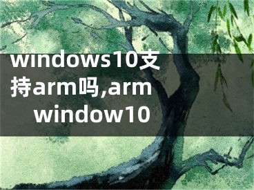 windows10支持arm吗,arm window10