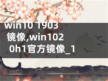 win10 1903 镜像,win1020h1官方镜像_1