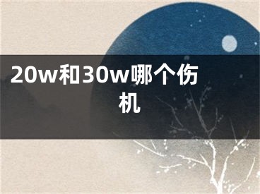 20w和30w哪个伤机