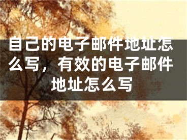 自己的电子邮件地址怎么写，有效的电子邮件地址怎么写