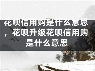 花呗信用购是什么意思，花呗升级花呗信用购是什么意思