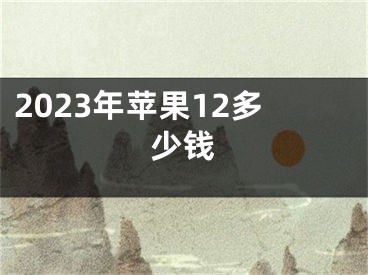 2023年苹果12多少钱