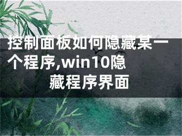 控制面板如何隐藏某一个程序,win10隐藏程序界面