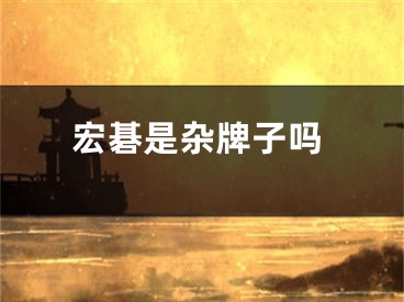 宏碁是杂牌子吗