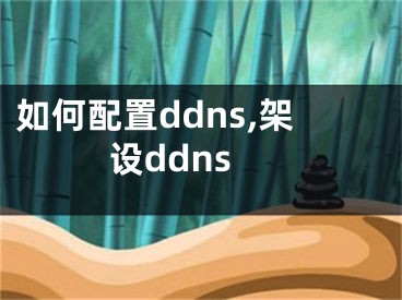 如何配置ddns,架设ddns