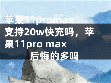 苹果11promax支持20w快充吗，苹果11pro max后悔的多吗