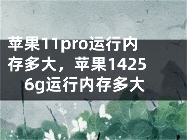 苹果11pro运行内存多大，苹果14256g运行内存多大