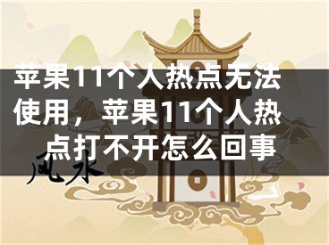 苹果11个人热点无法使用，苹果11个人热点打不开怎么回事