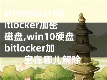 windows10bitlocker加密磁盘,win10硬盘bitlocker加密在哪儿解除