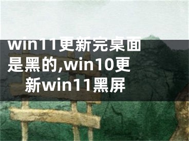 win11更新完桌面是黑的,win10更新win11黑屏