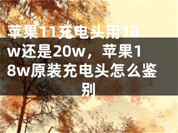 苹果11充电头用18w还是20w，苹果18w原装充电头怎么鉴别