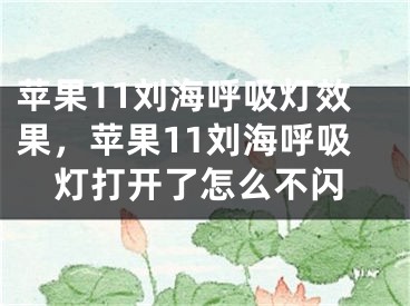 苹果11刘海呼吸灯效果，苹果11刘海呼吸灯打开了怎么不闪 