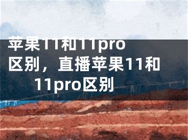 苹果11和11pro区别，直播苹果11和11pro区别