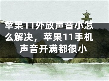 苹果11外放声音小怎么解决，苹果11手机声音开满都很小