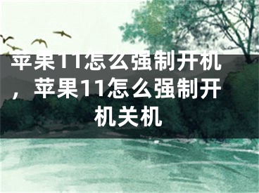 苹果11怎么强制开机，苹果11怎么强制开机关机