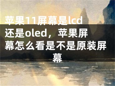 苹果11屏幕是lcd还是oled，苹果屏幕怎么看是不是原装屏幕