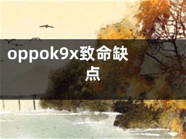 oppok9x致命缺点