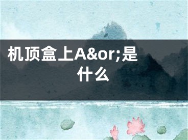 机顶盒上A&or;是什么