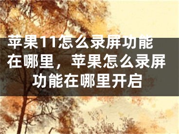 苹果11怎么录屏功能在哪里，苹果怎么录屏功能在哪里开启