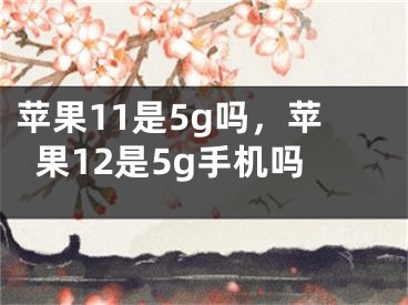 苹果11是5g吗，苹果12是5g手机吗