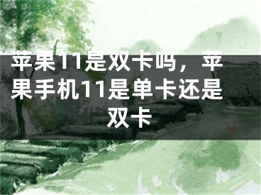 苹果11是双卡吗，苹果手机11是单卡还是双卡