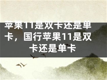 苹果11是双卡还是单卡，国行苹果11是双卡还是单卡