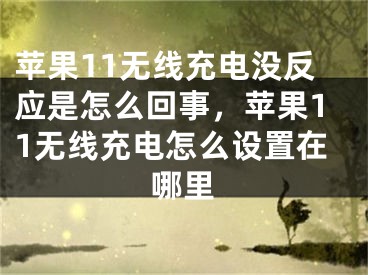 苹果11无线充电没反应是怎么回事，苹果11无线充电怎么设置在哪里 