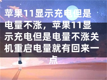 苹果11显示充电但是电量不涨，苹果11显示充电但是电量不涨关机重启电量就有回来一点