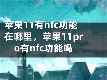 苹果11有nfc功能在哪里，苹果11pro有nfc功能吗