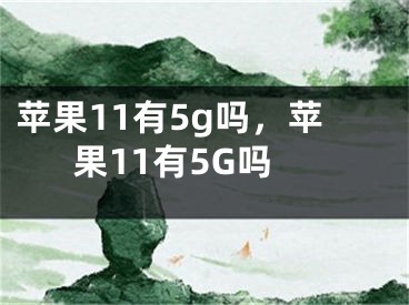 苹果11有5g吗，苹果11有5G吗