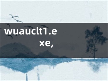 wuauclt1.exe,