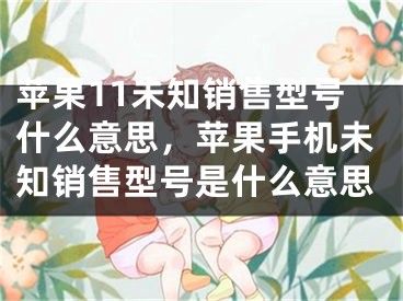 苹果11未知销售型号什么意思，苹果手机未知销售型号是什么意思