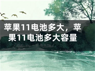 苹果11电池多大，苹果11电池多大容量