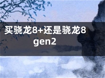 买骁龙8+还是骁龙8gen2