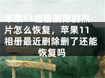 苹果11相册删除的照片怎么恢复，苹果11相册最近删除删了还能恢复吗