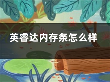 英睿达内存条怎么样