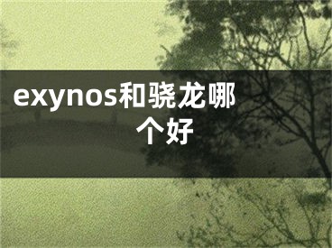 exynos和骁龙哪个好